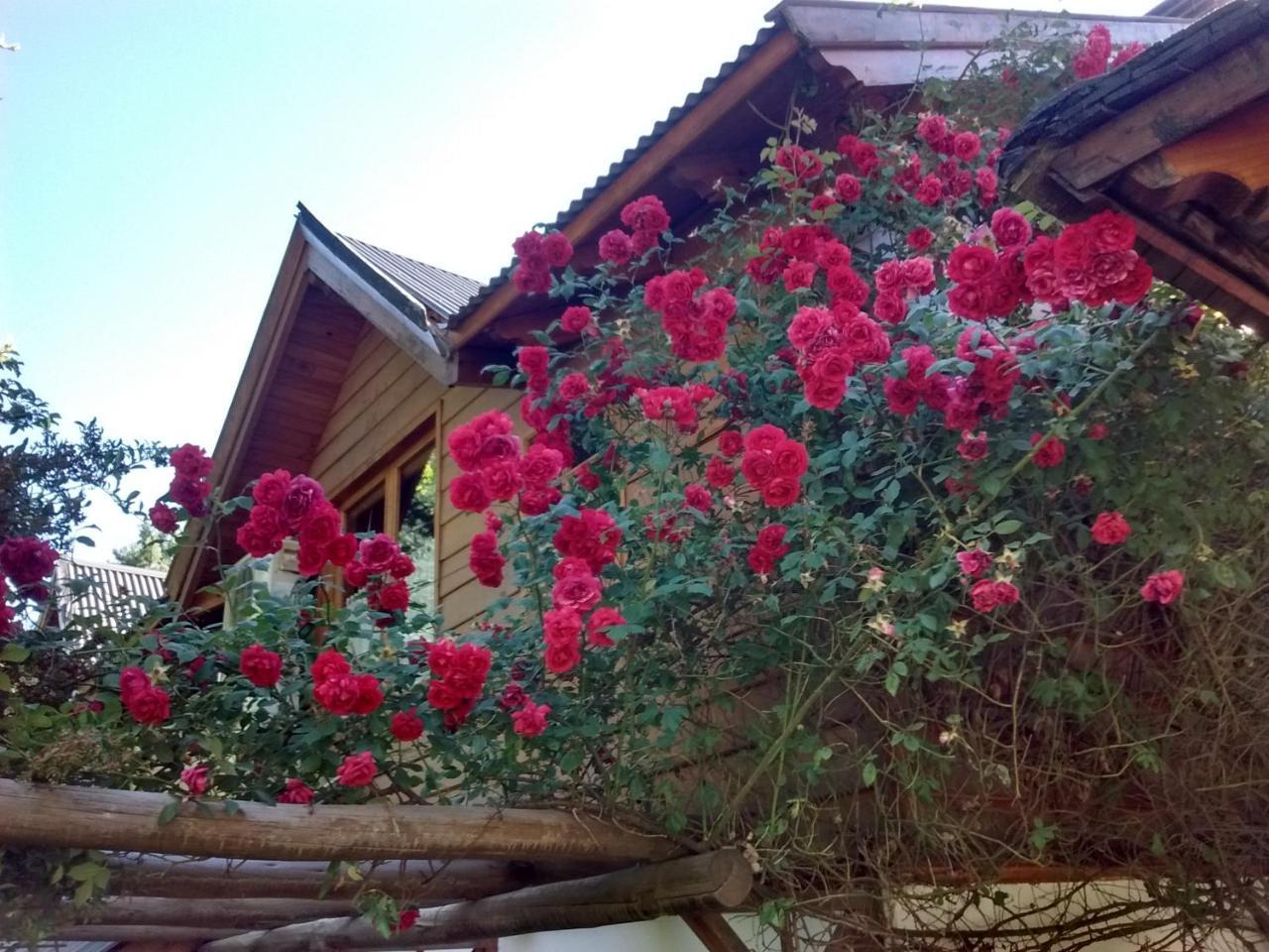 Cabanas Temporada San Martín de los Andes Kültér fotó